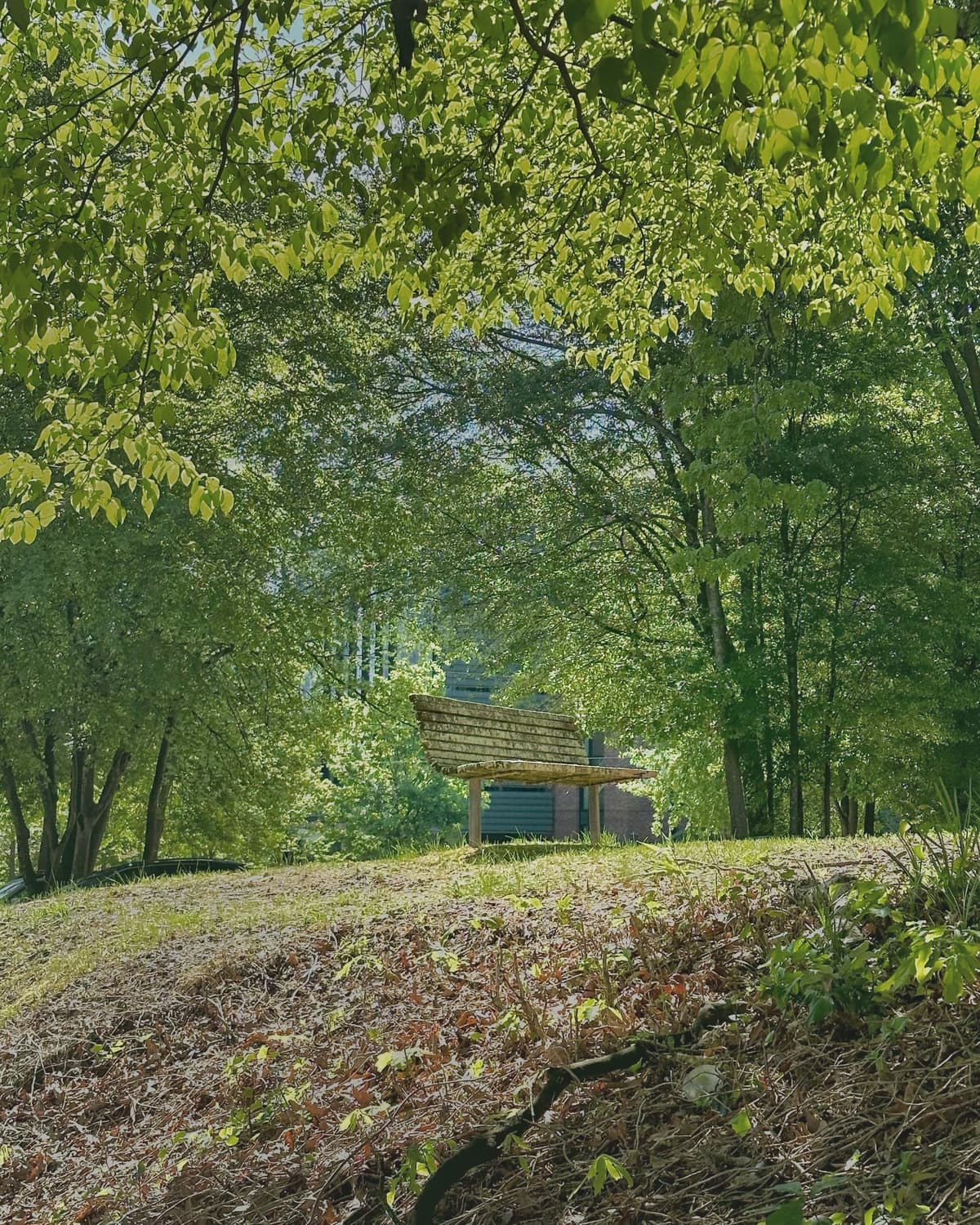a bench