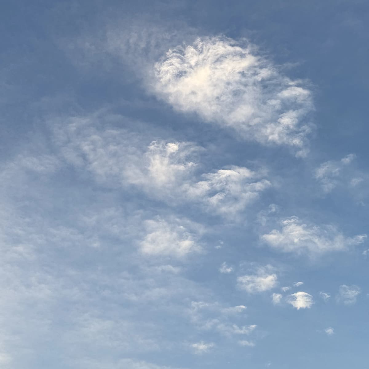 a reflection on luke 13 article image